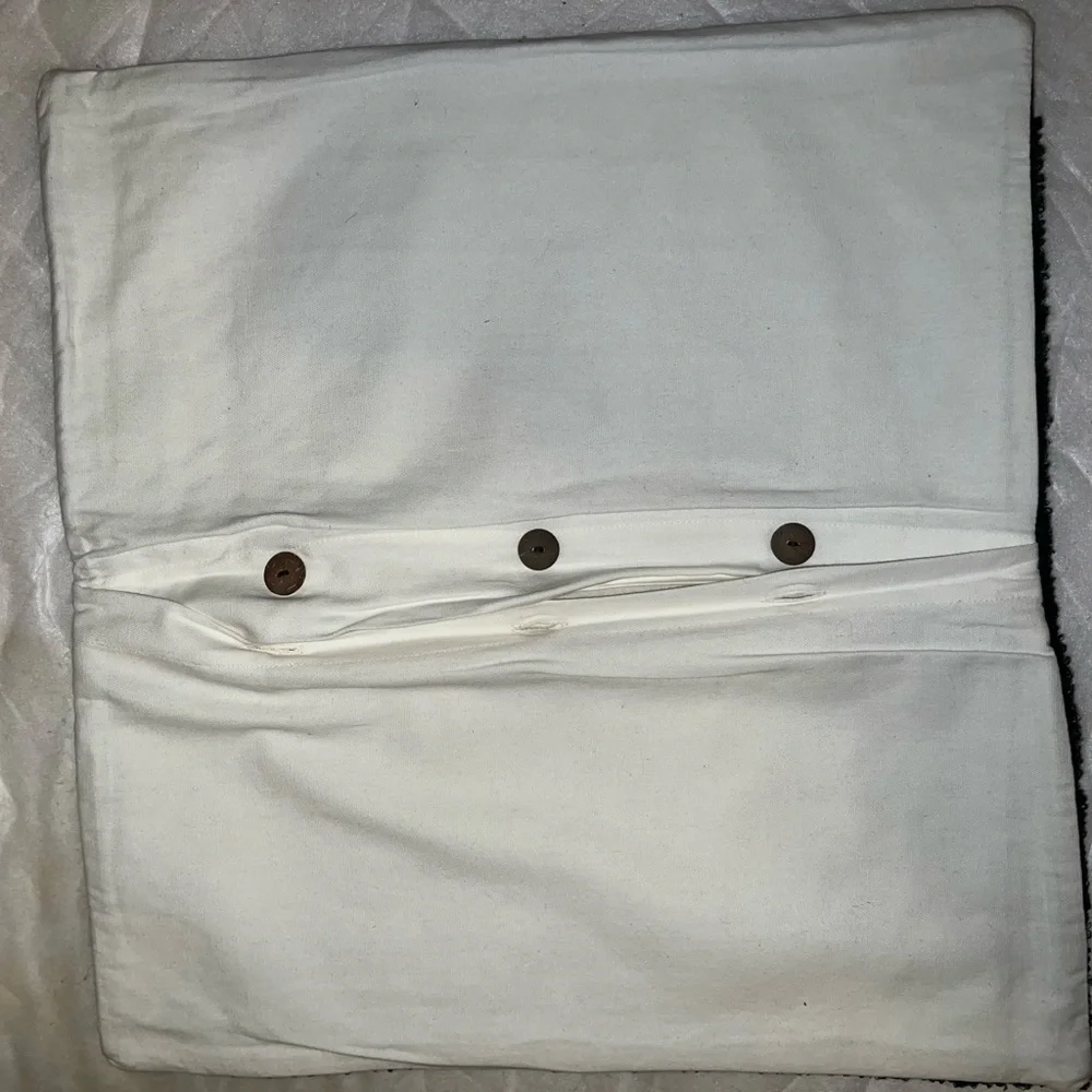West Elm Beaded Metallic Pillow cover 20x20